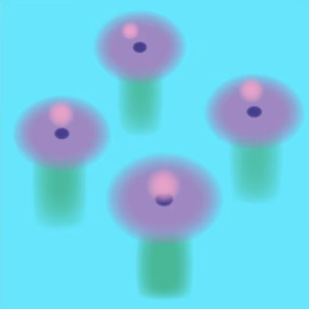 Let's see the flowers