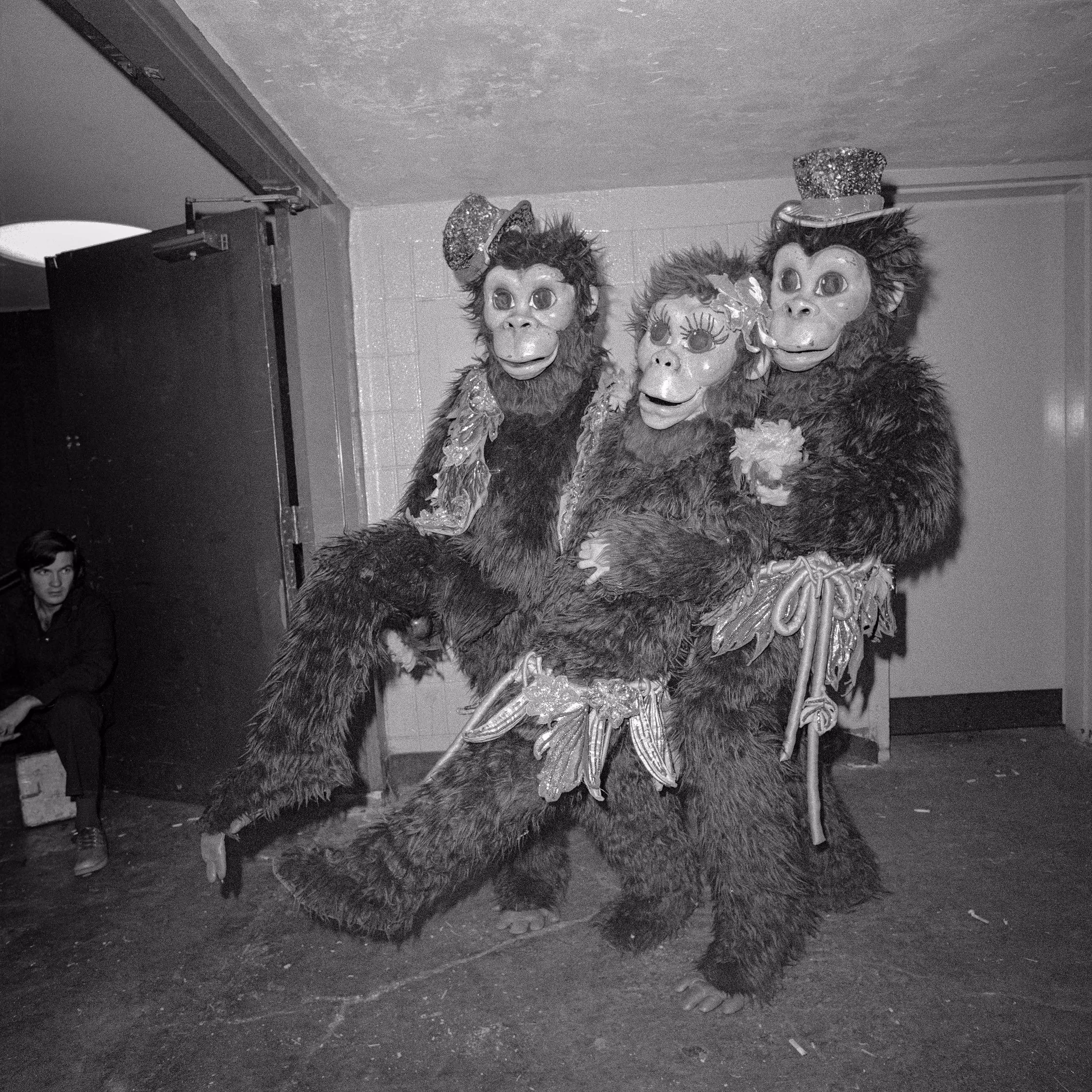 QuirkyVision 45RPM - Three Clowns in Monkey Suits at the Ringling Brothers Barnum and Bailey Circus