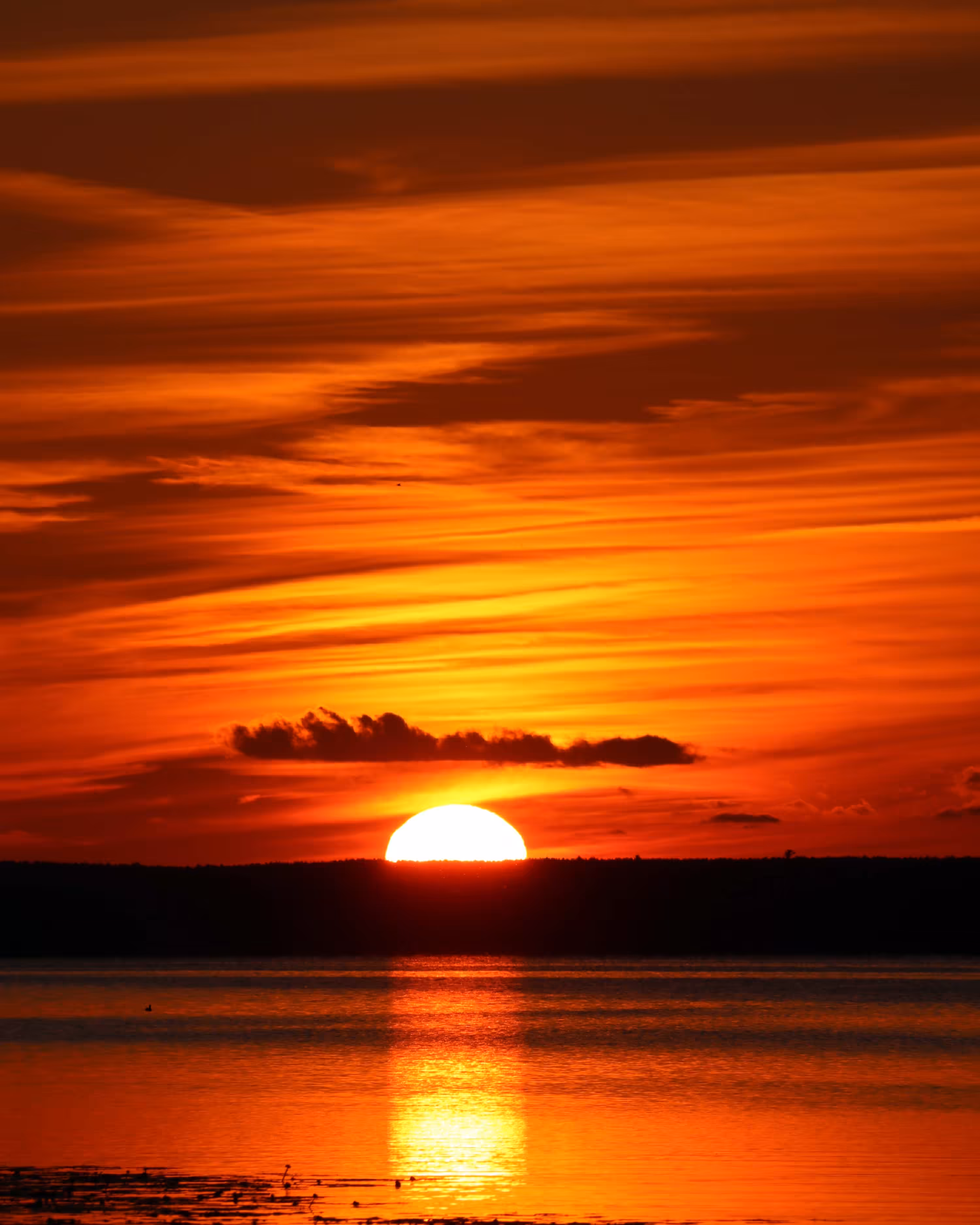 Brevort Sunset