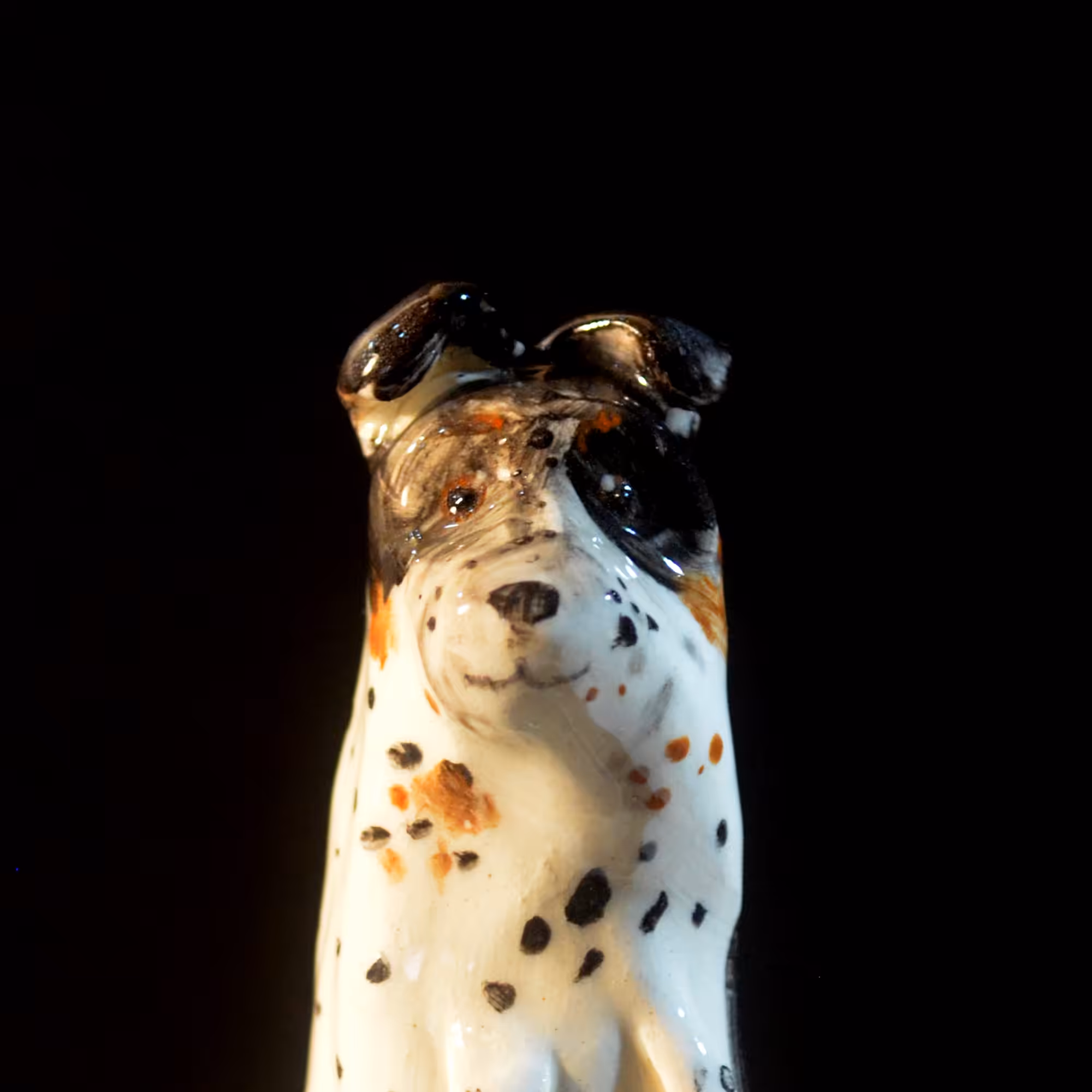 pfpup#0055