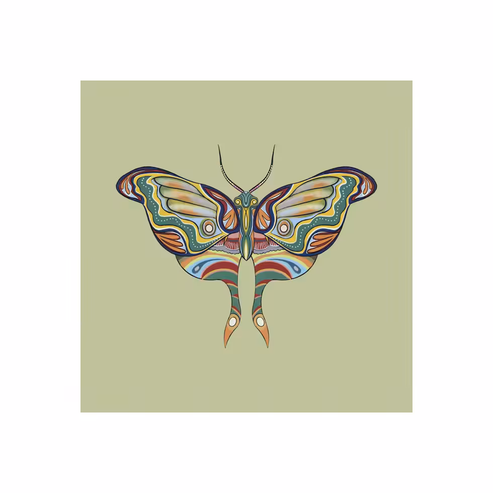 The Moth Experiment #36