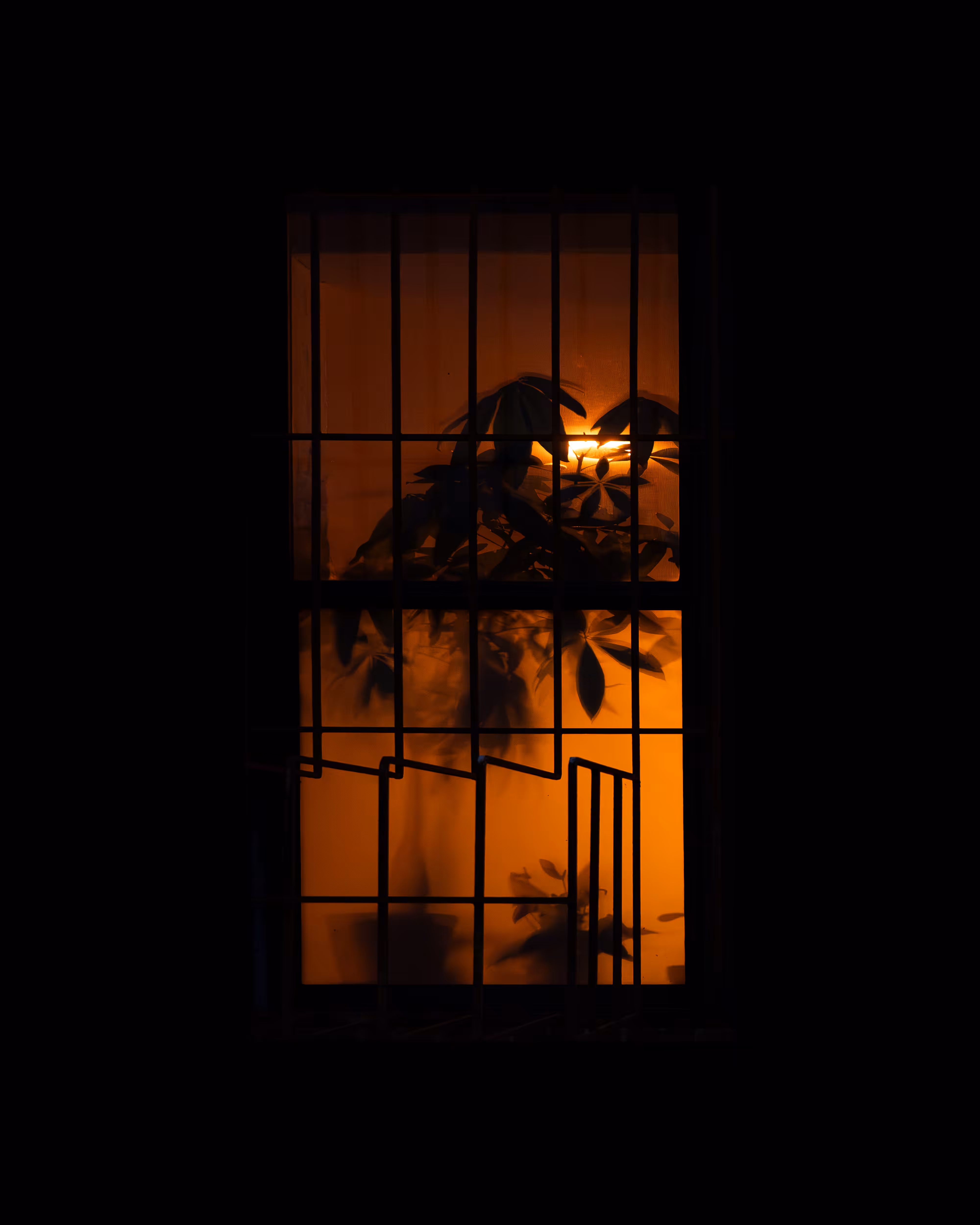 WINDOWS // NYC: WINDOW 588
