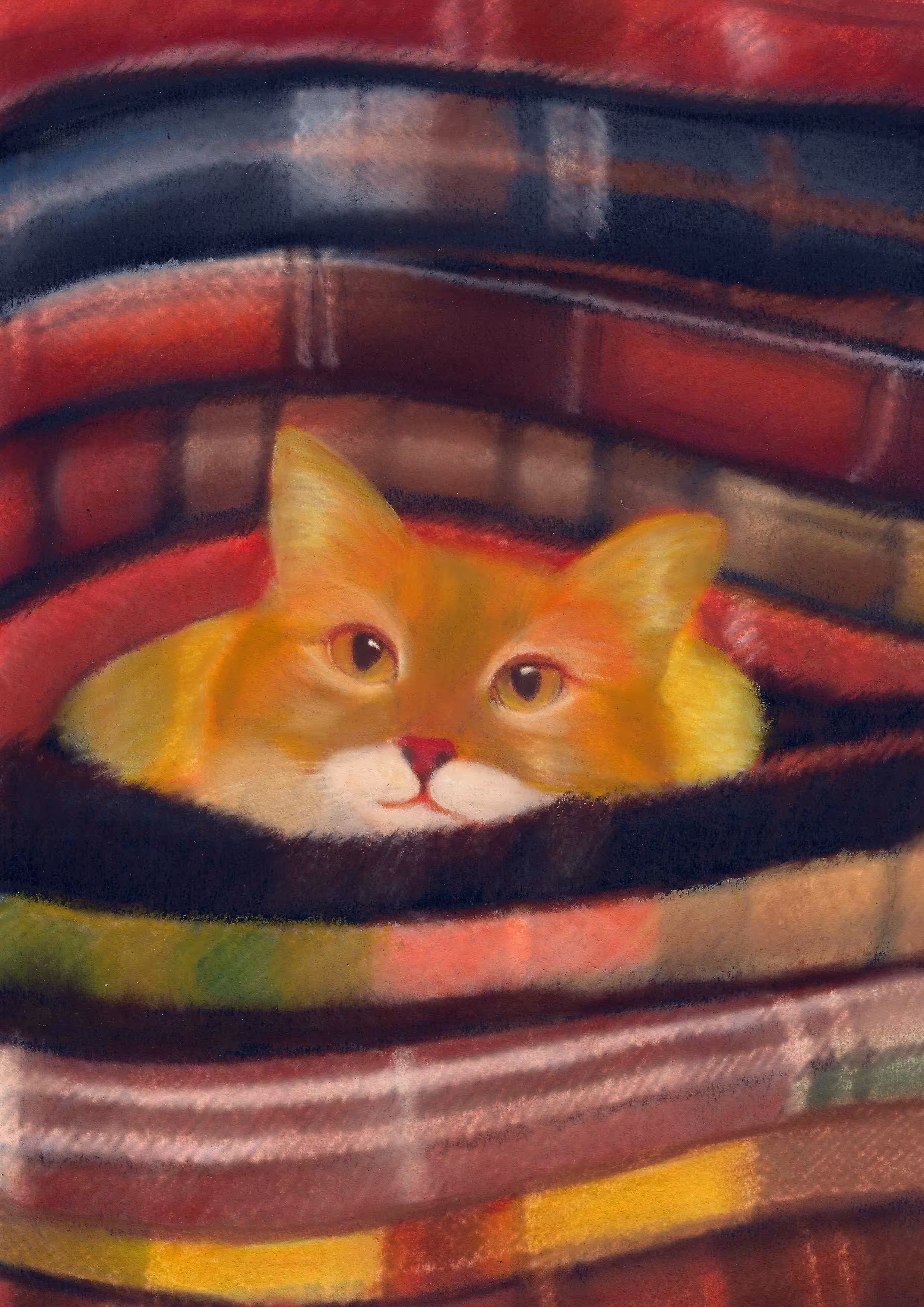 The season of warm cats 