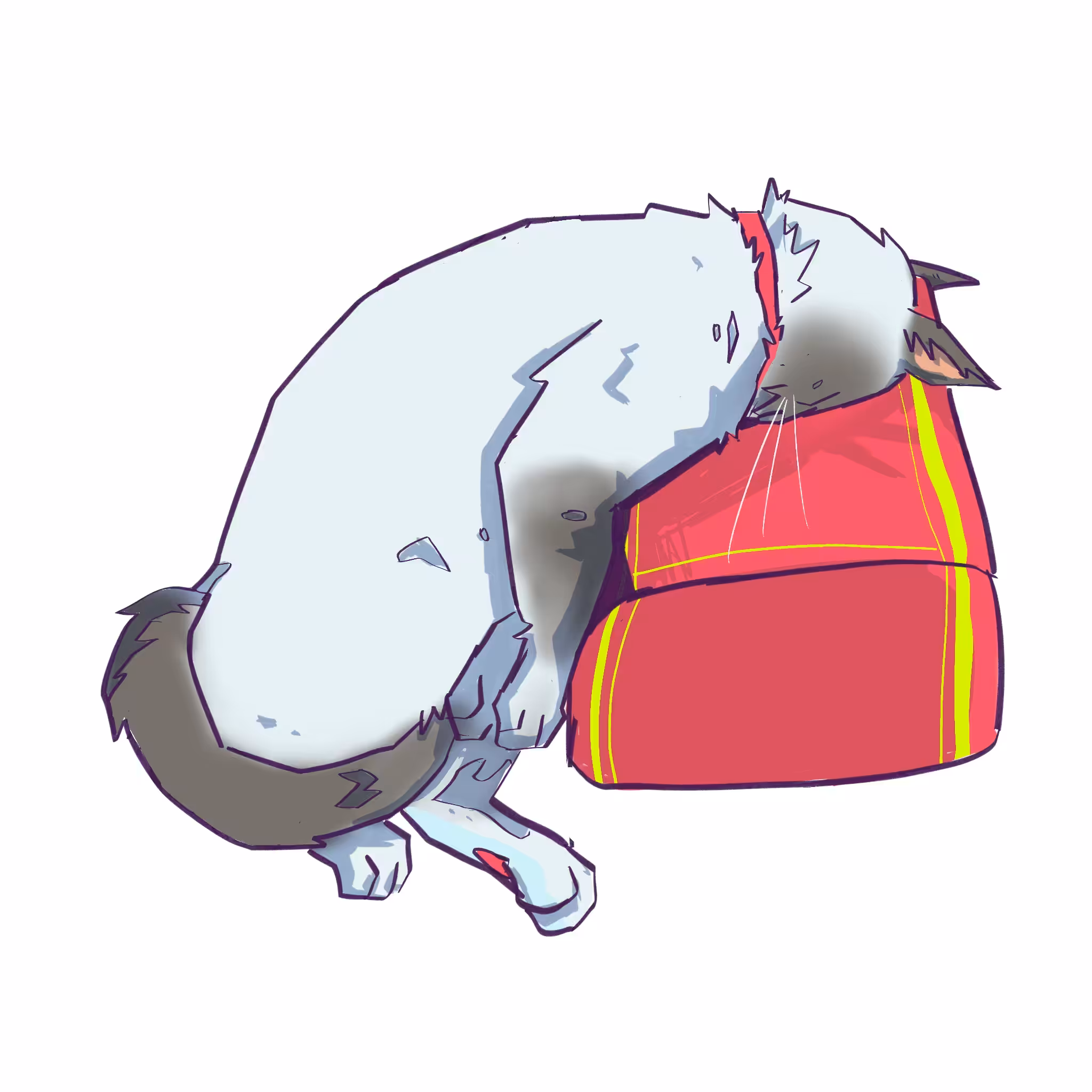 Lazy cat #002