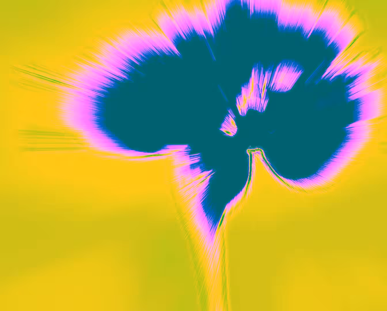 Electric Blossom X1 