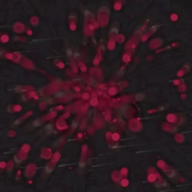 atracción #5