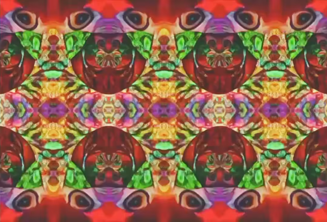 Vividisionary