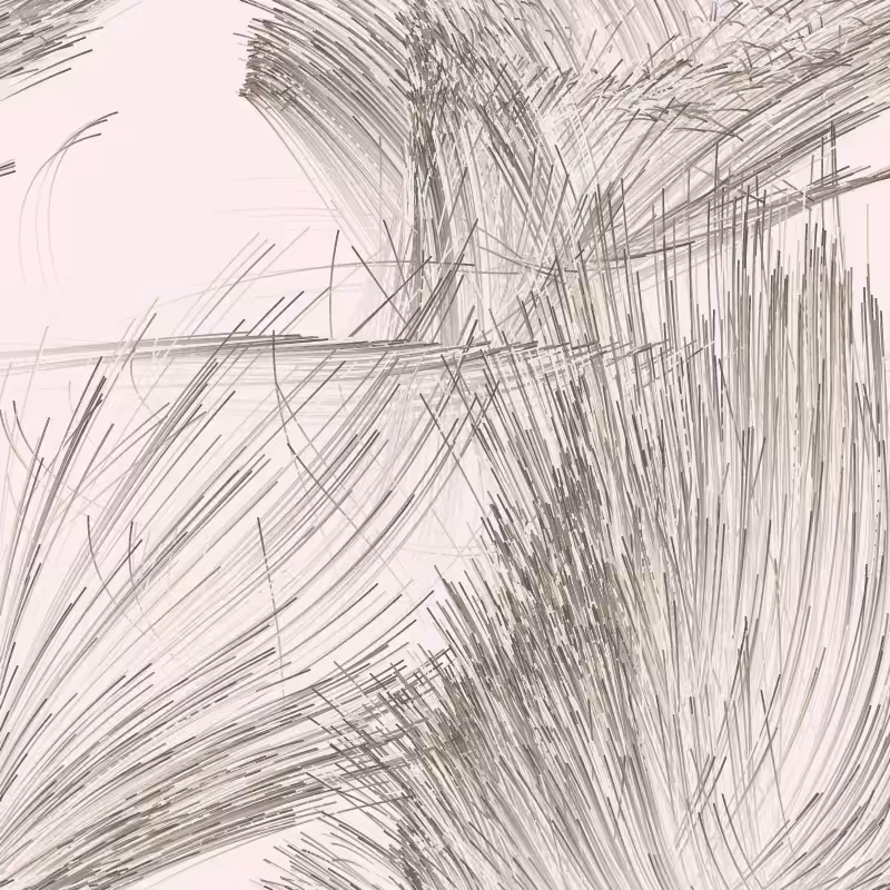 Strange Attractor Swarm #1
