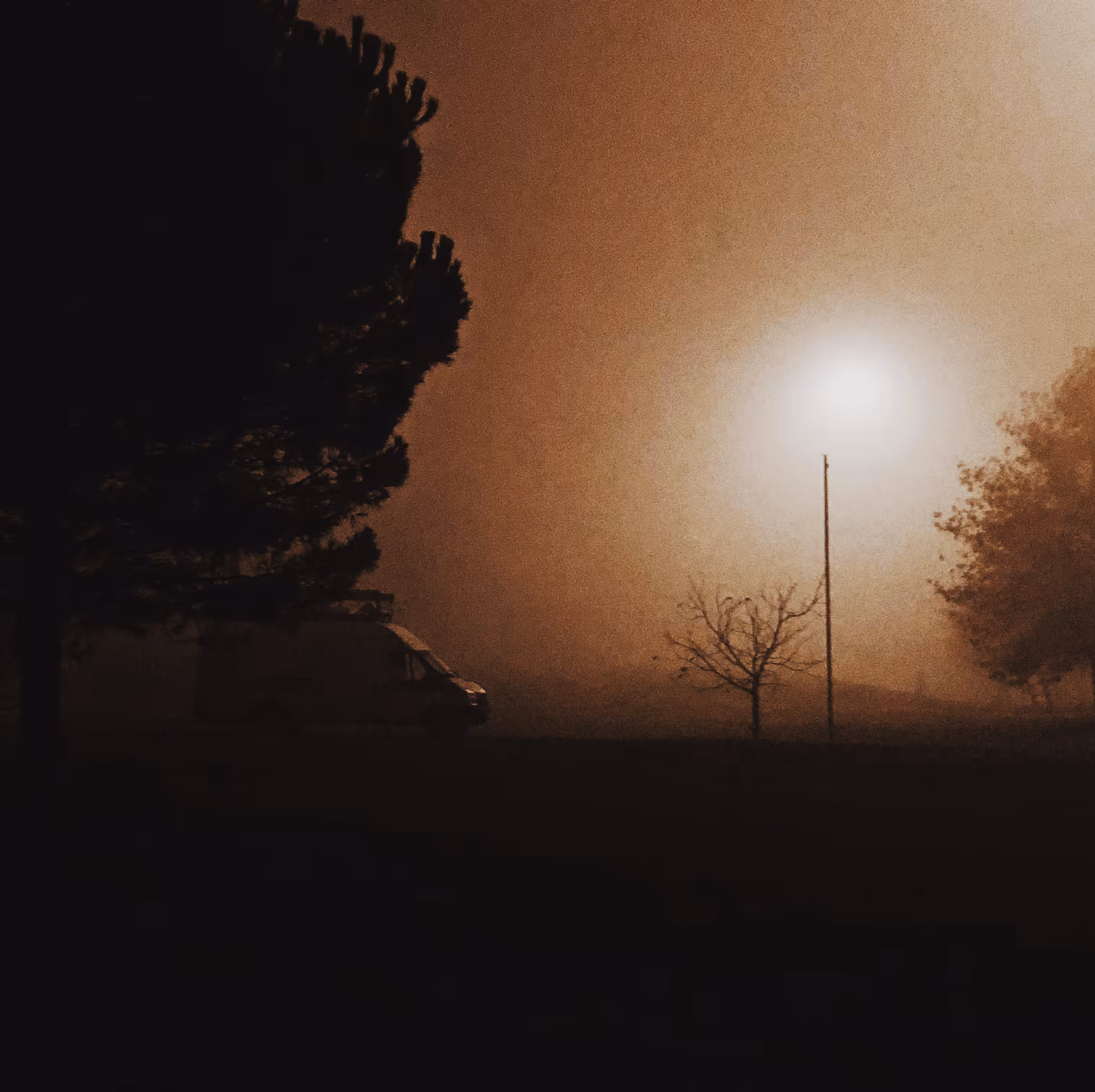 Night and fog