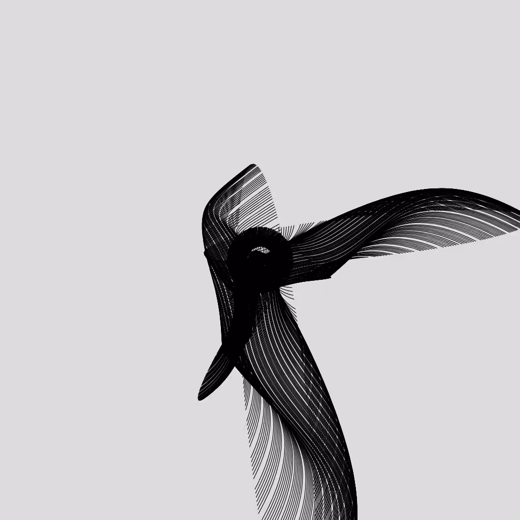 ANATOMY of a rabbit but bird #20