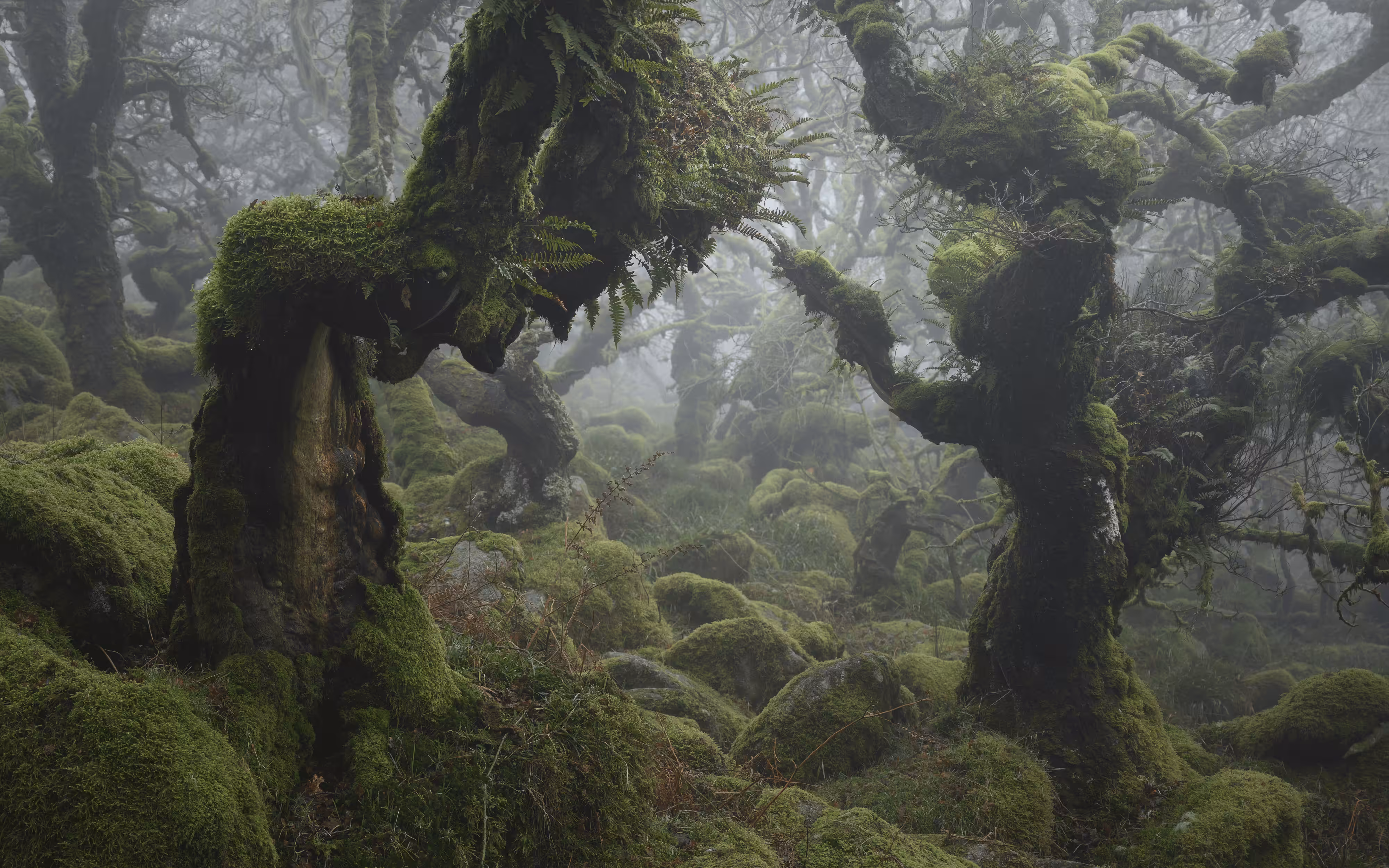 MYSTICAL XXXIV (DUEL)