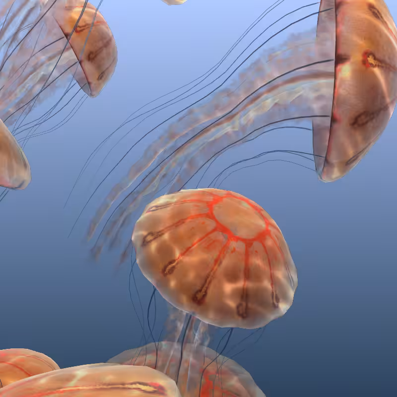 Jellyfish #55