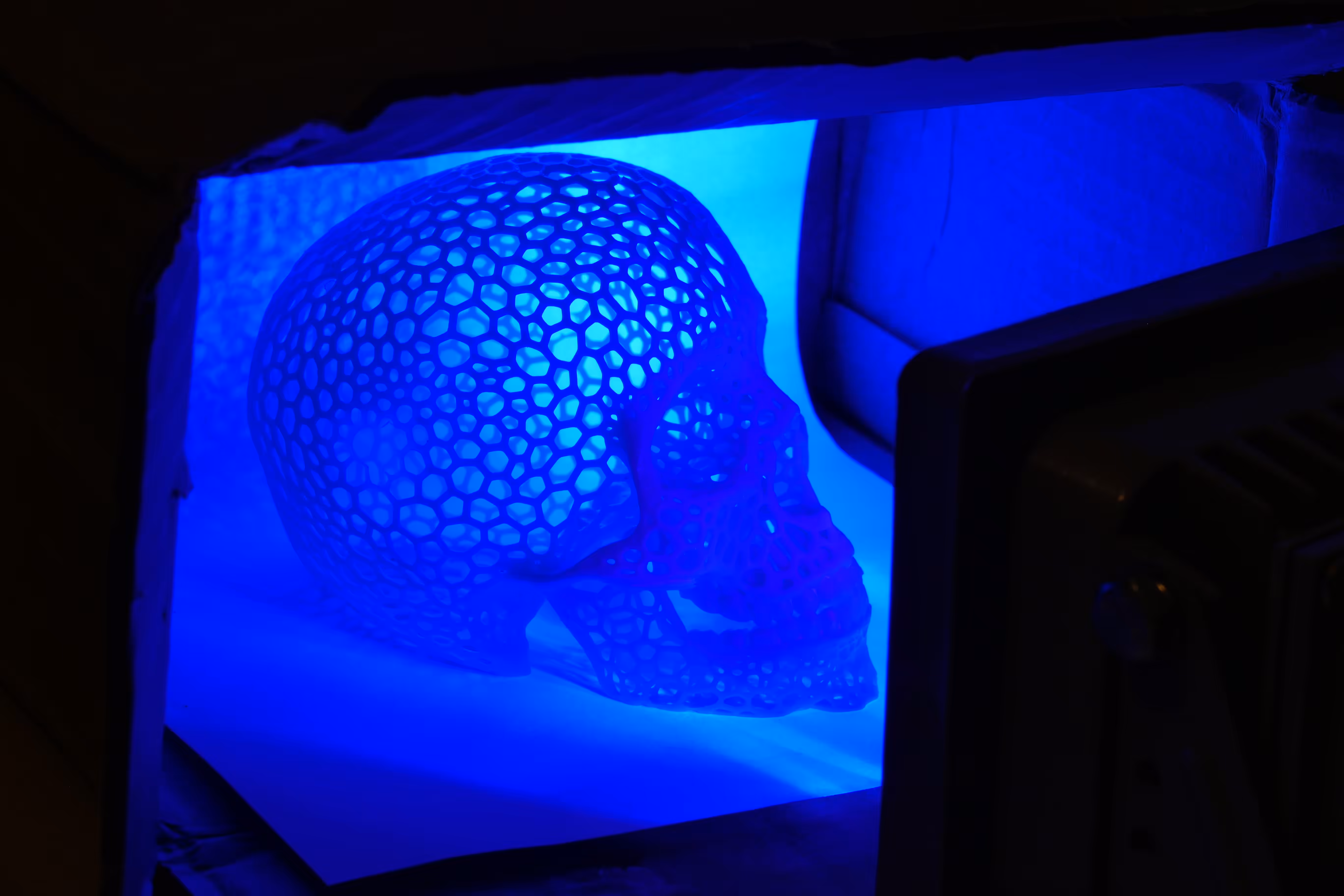 Voronoi Skulpture