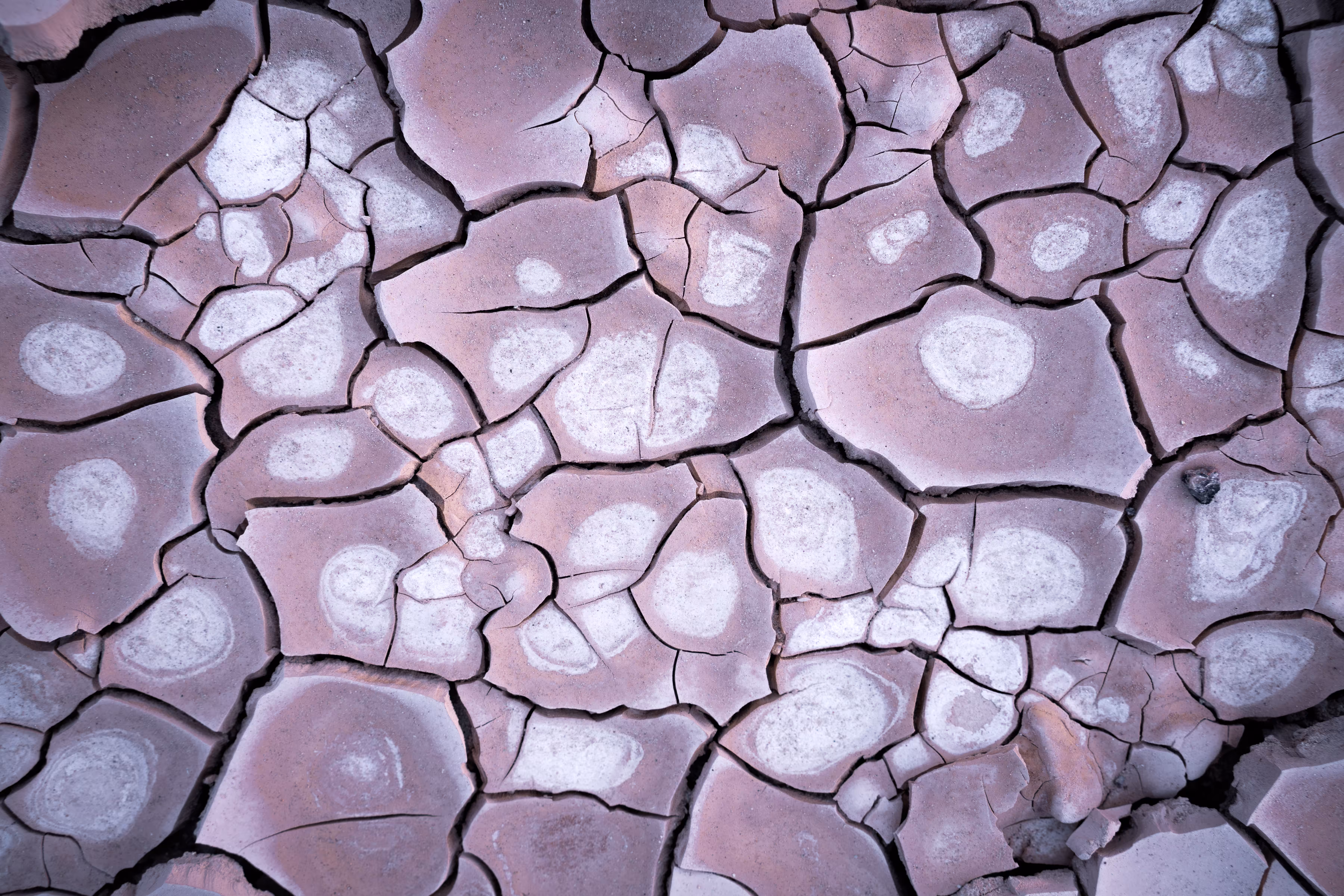 Trippy Deserts
