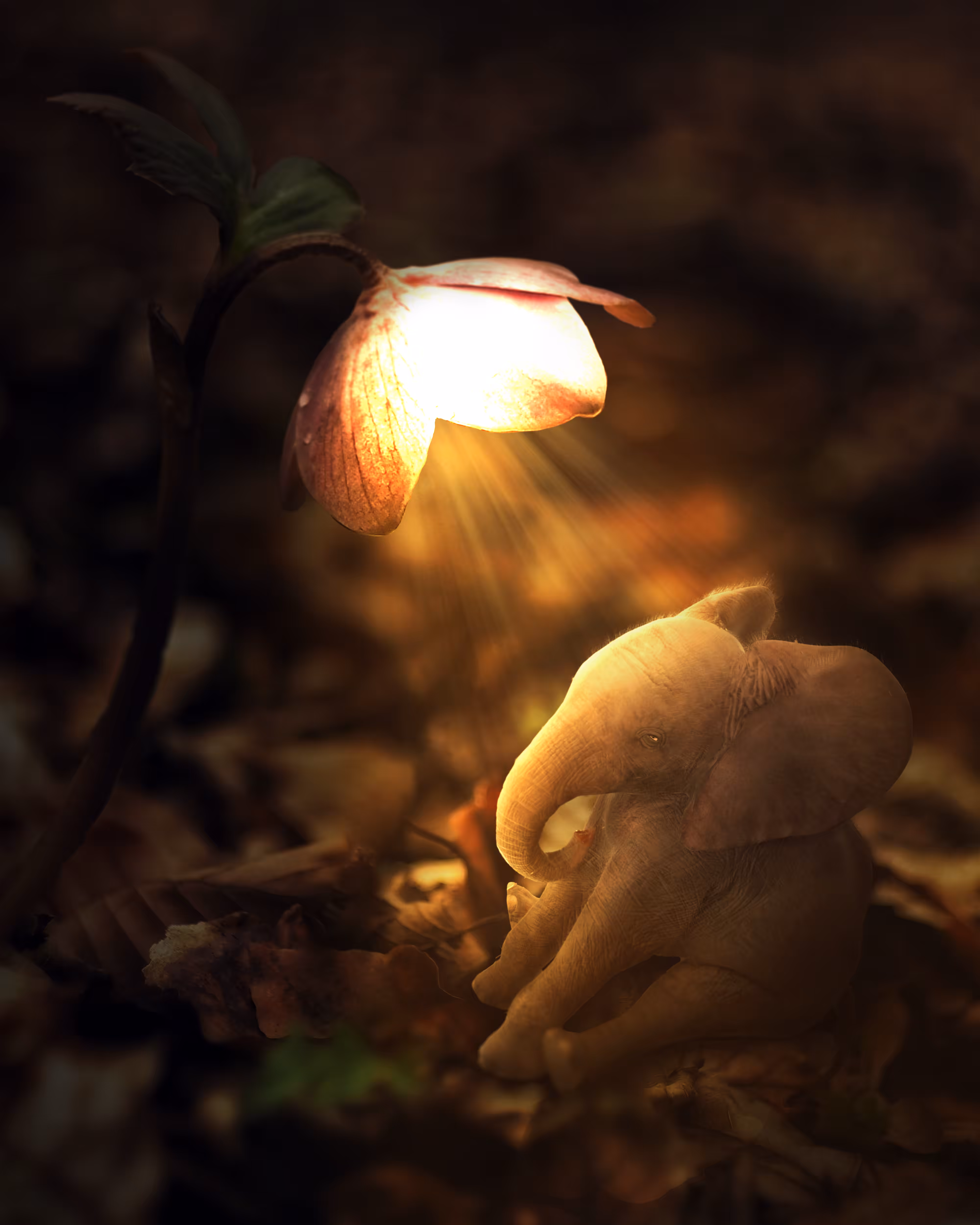 Everything will glow for you!