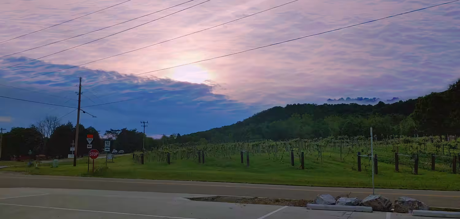 Airwaves: Vineyard