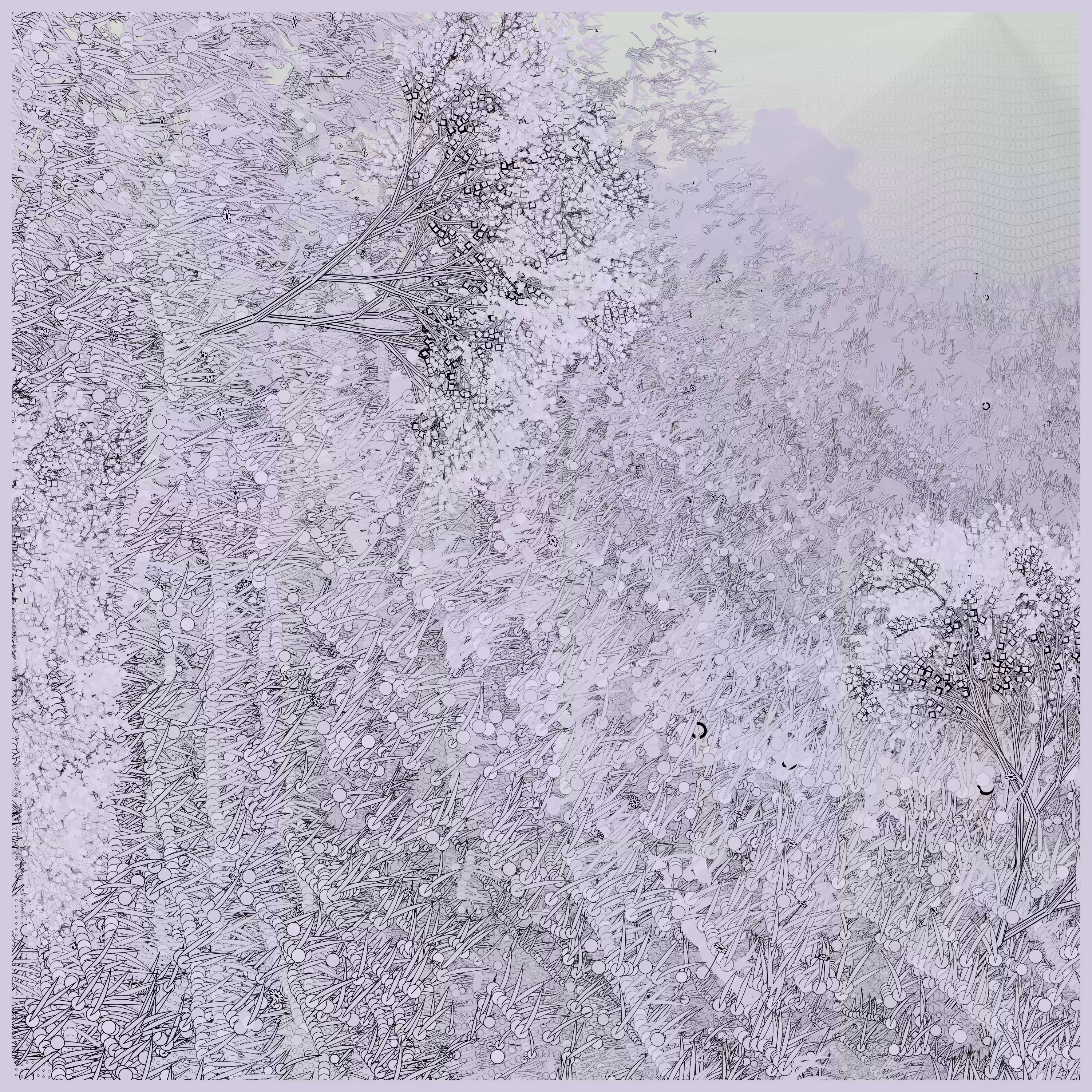 Natural order.chaos #7