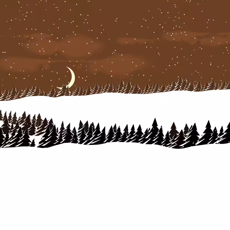 Winterland #99
