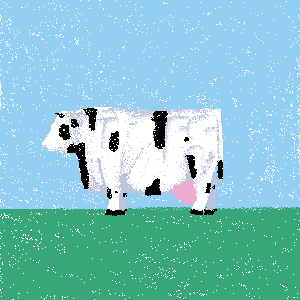 cow #211