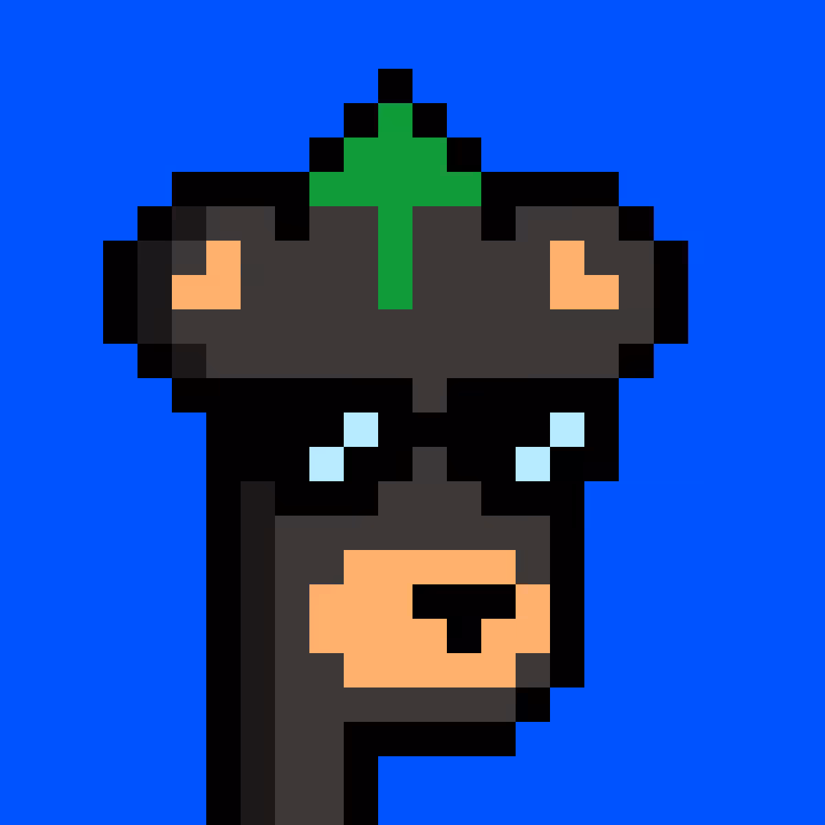 BearPunks #1335
