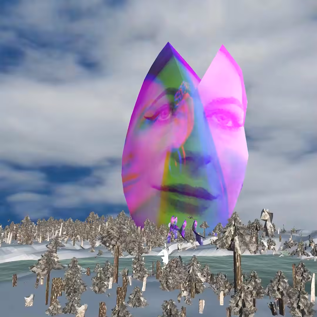 Taiku 30122021 "The Forest of Query"