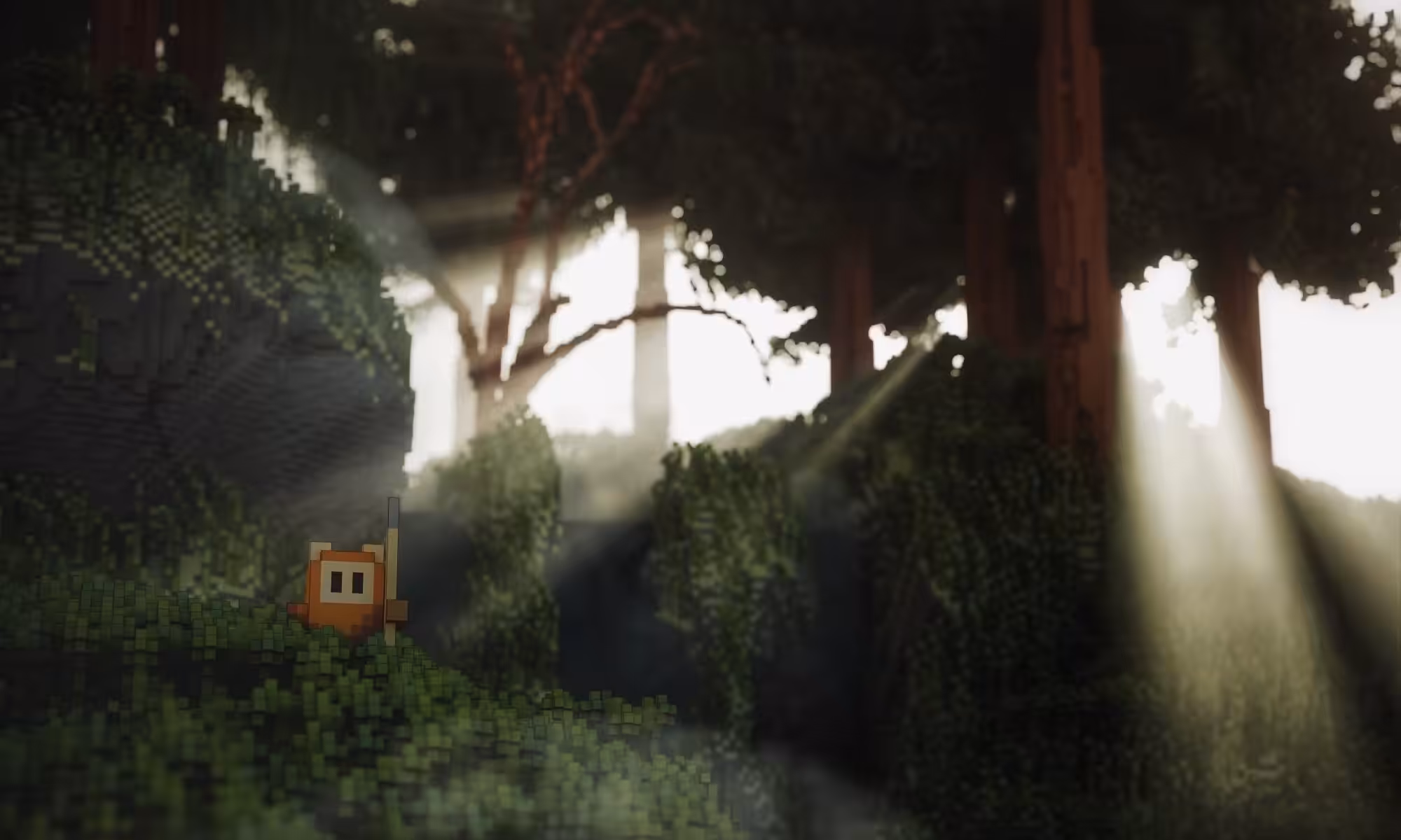Ewok(en)