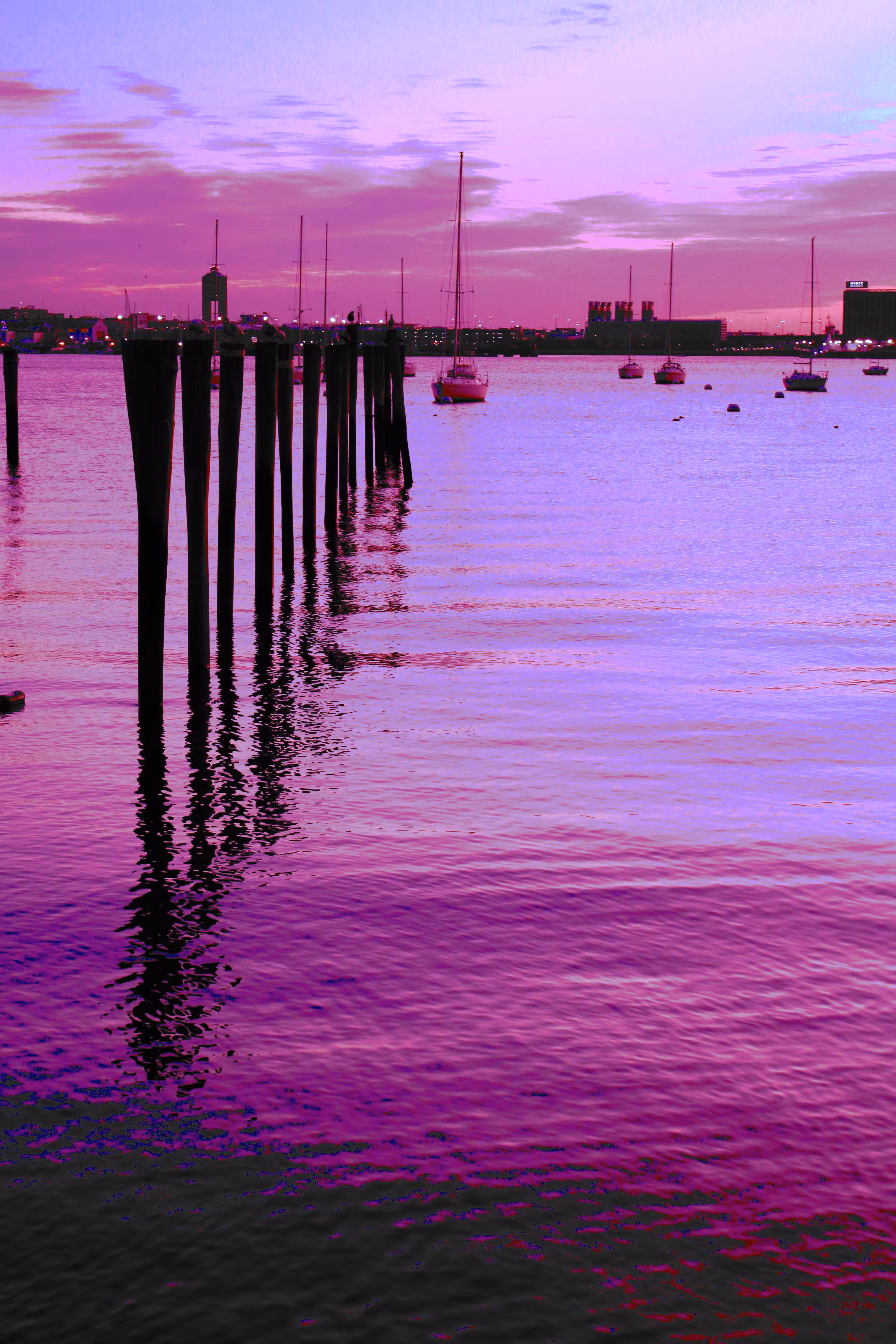 Purple Harbor