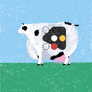 cows: cow #63