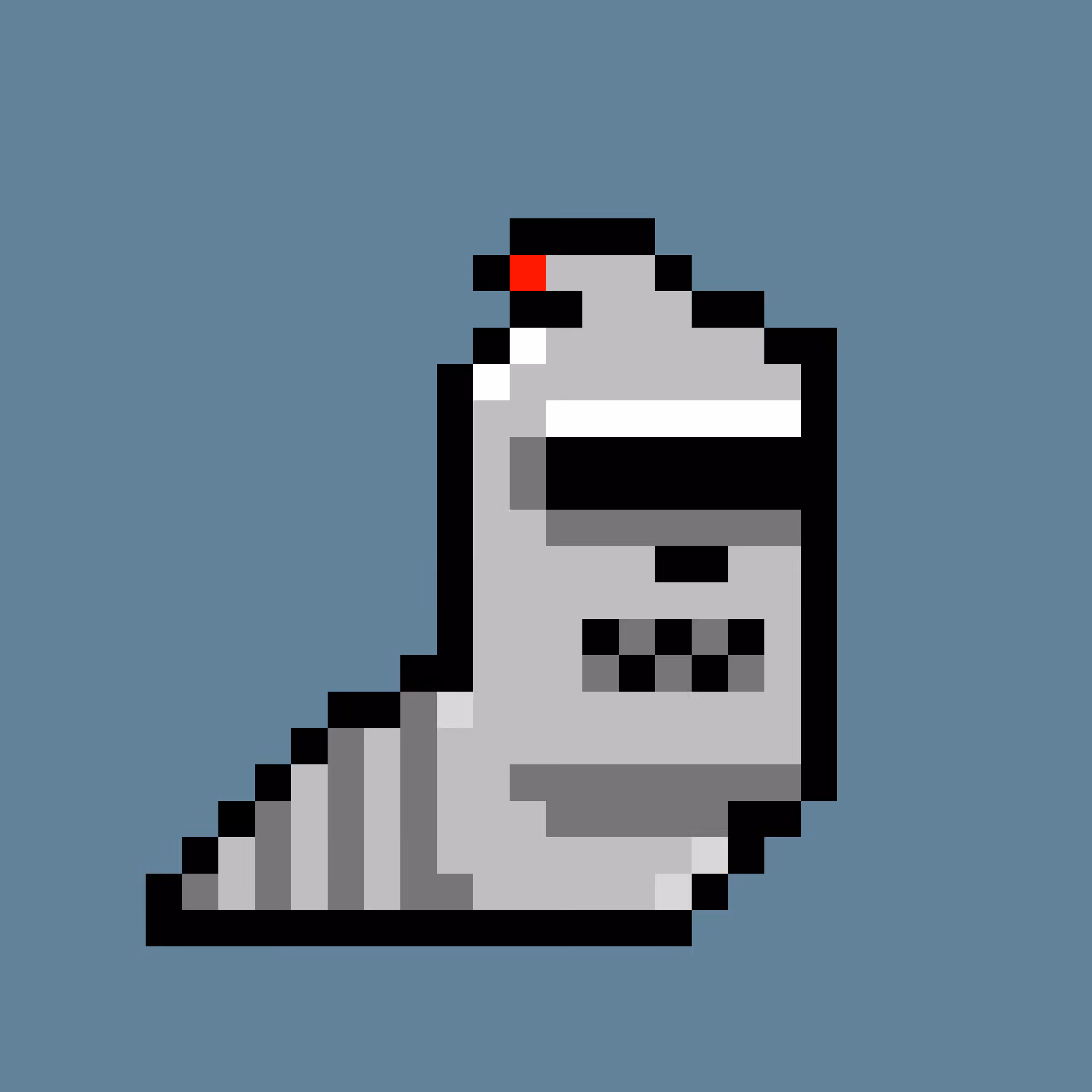 Bot Lad