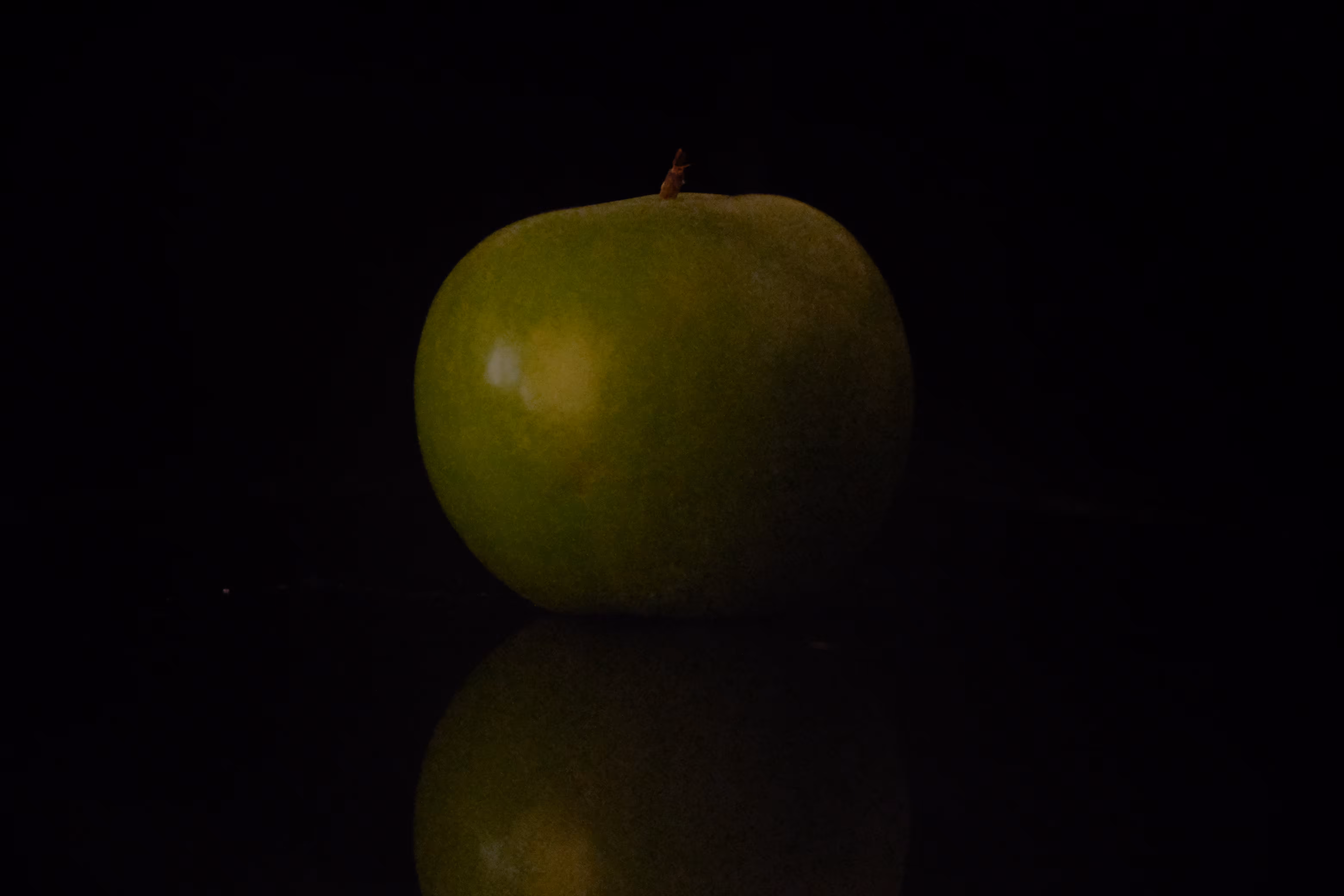 Photographer's DNA - #13