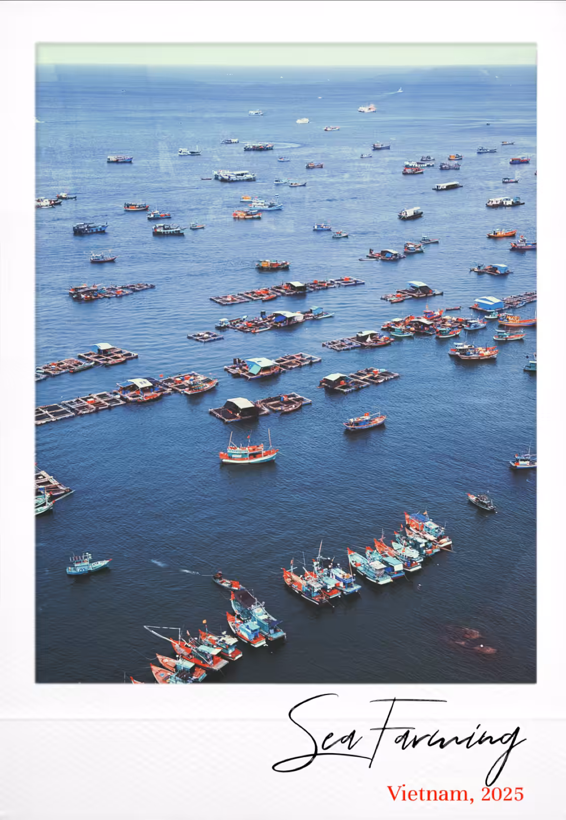 Day by Day, Moments from a Restless Mind: Sea Farming