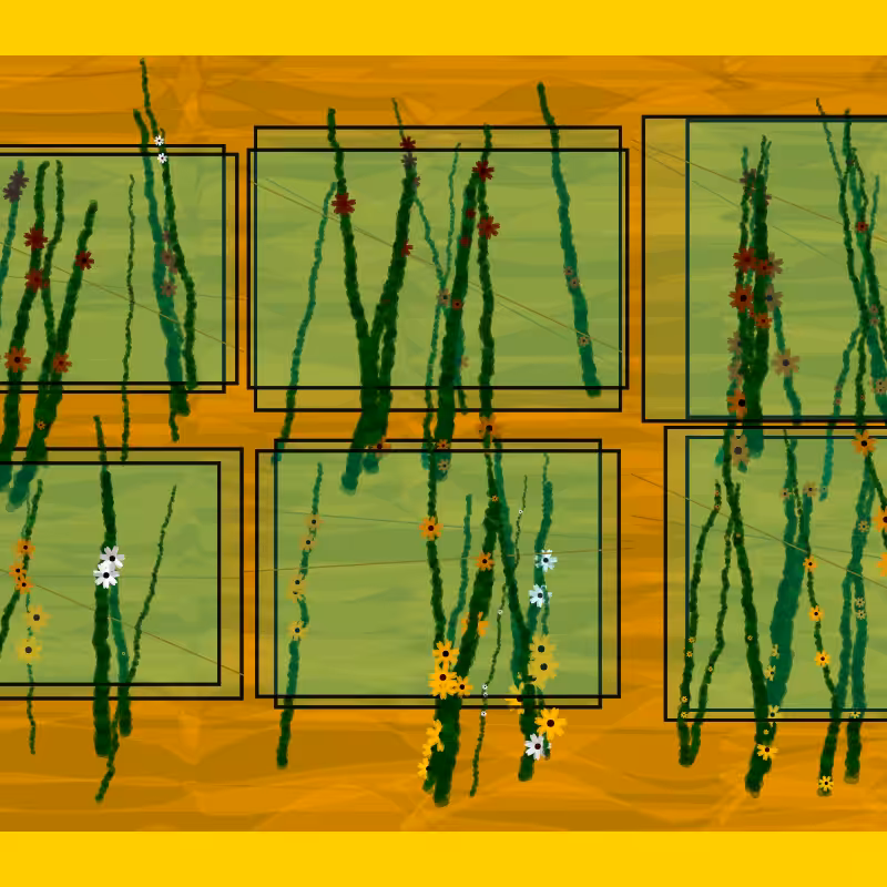 Flower Boxes #1