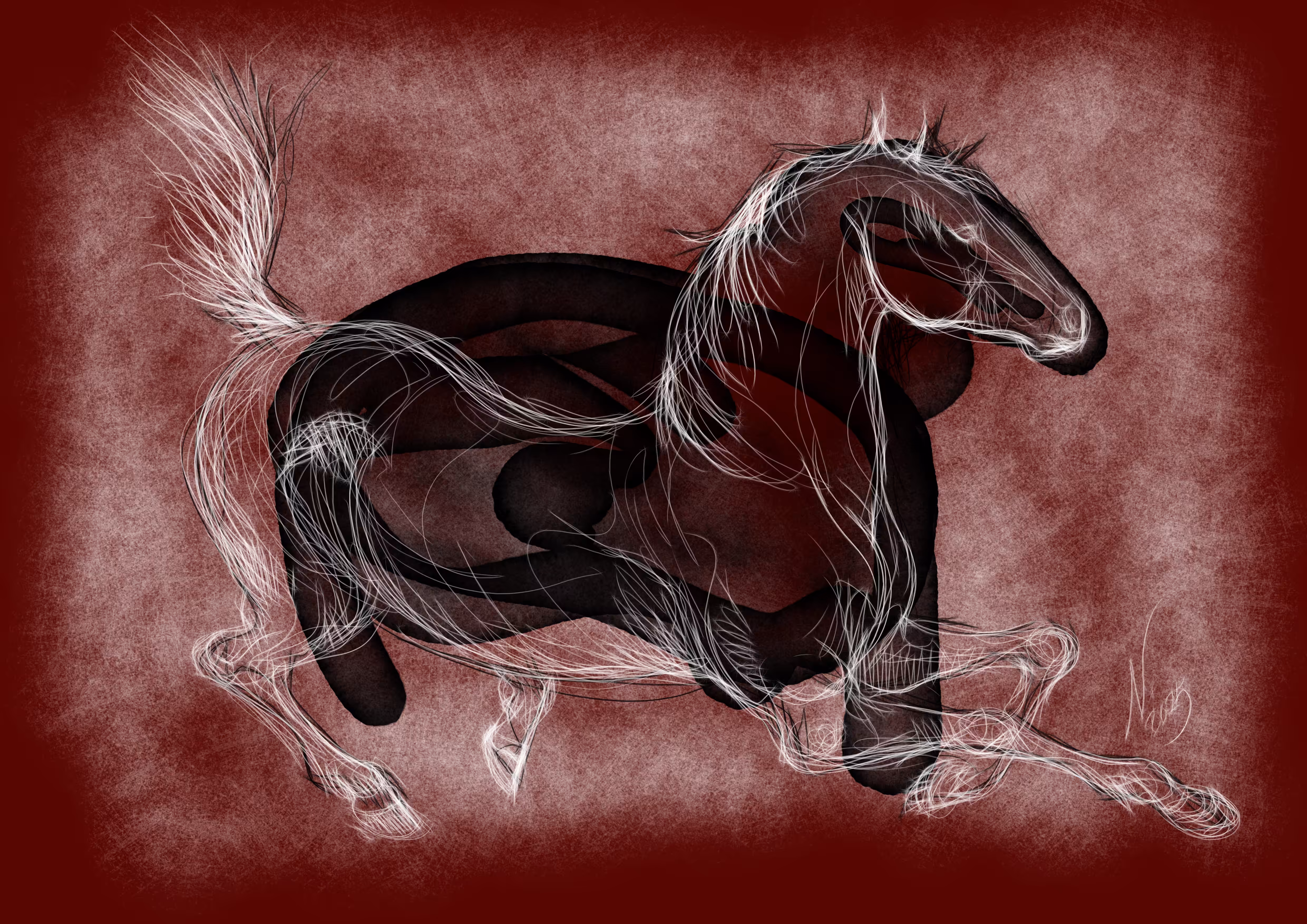 Your white horse