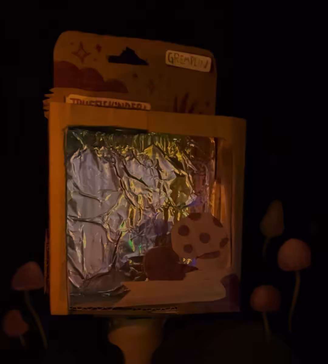 [TRUFFLEKINDER] Only Box