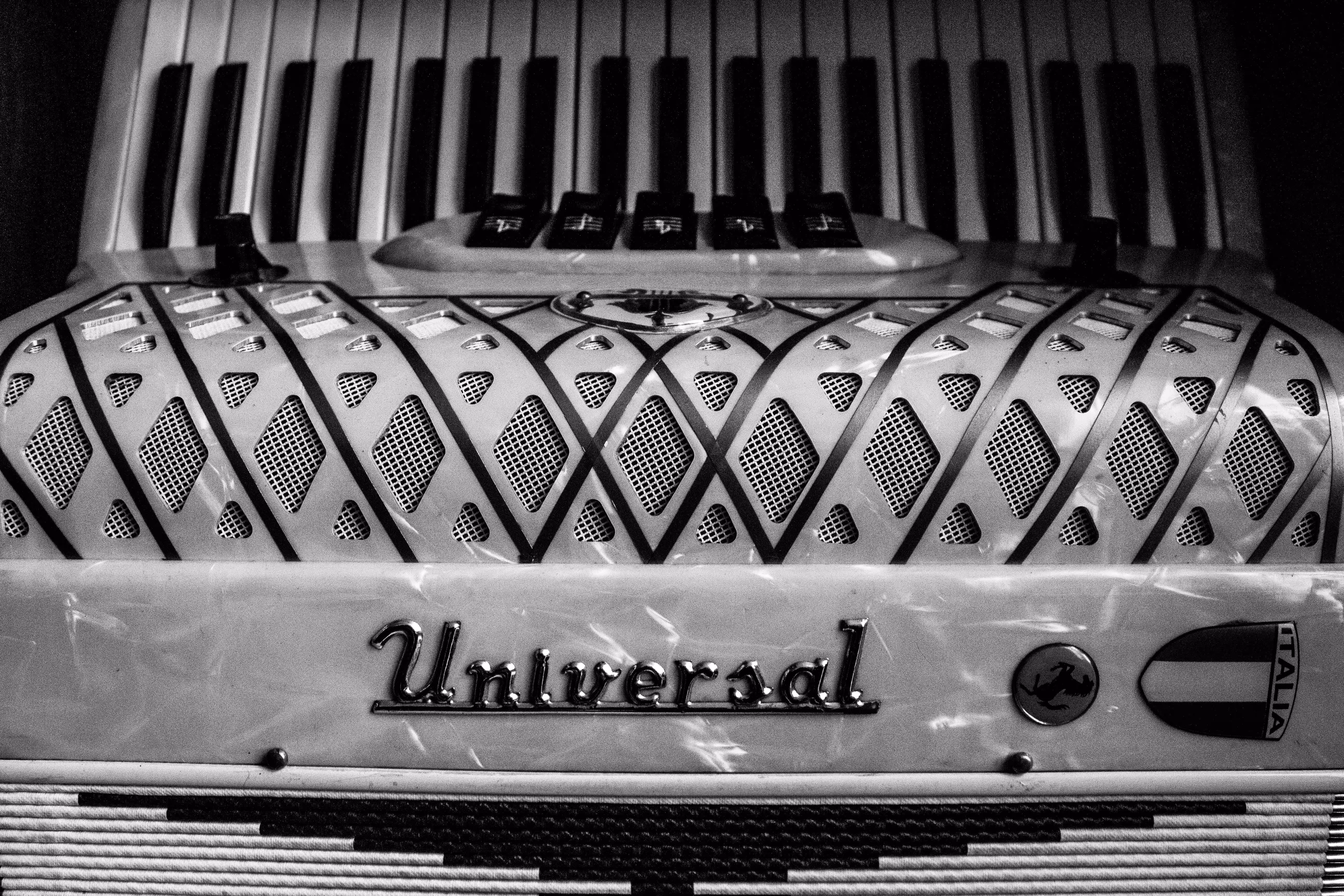 The Accordion