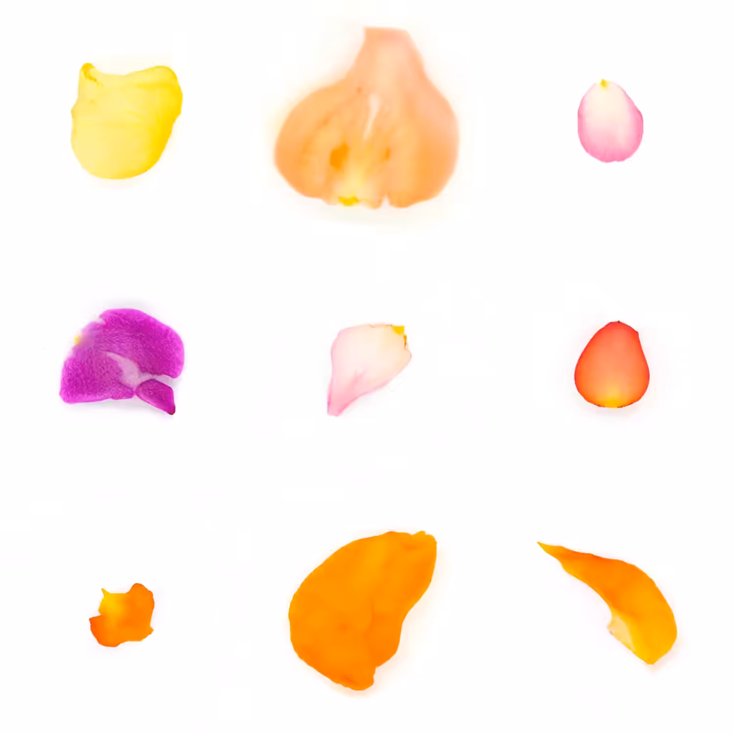 Infinite Petals 3x3#20986