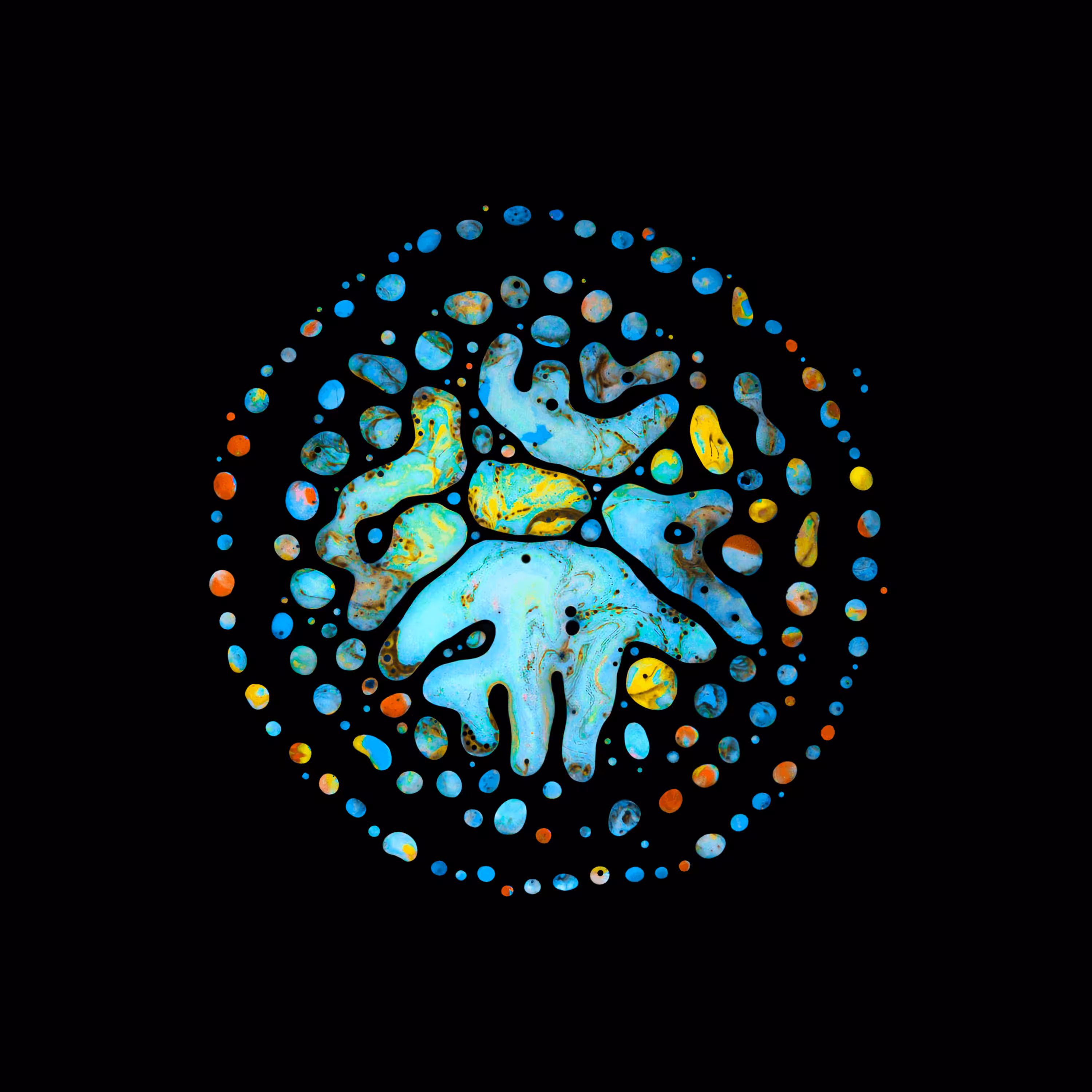 Haematopoiesis #257