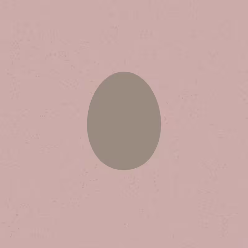 Egg #17