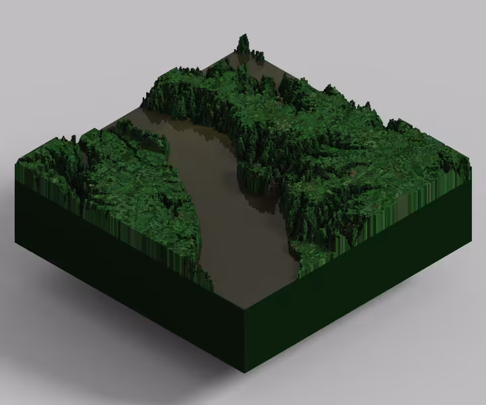 Lot #4 Amazonia