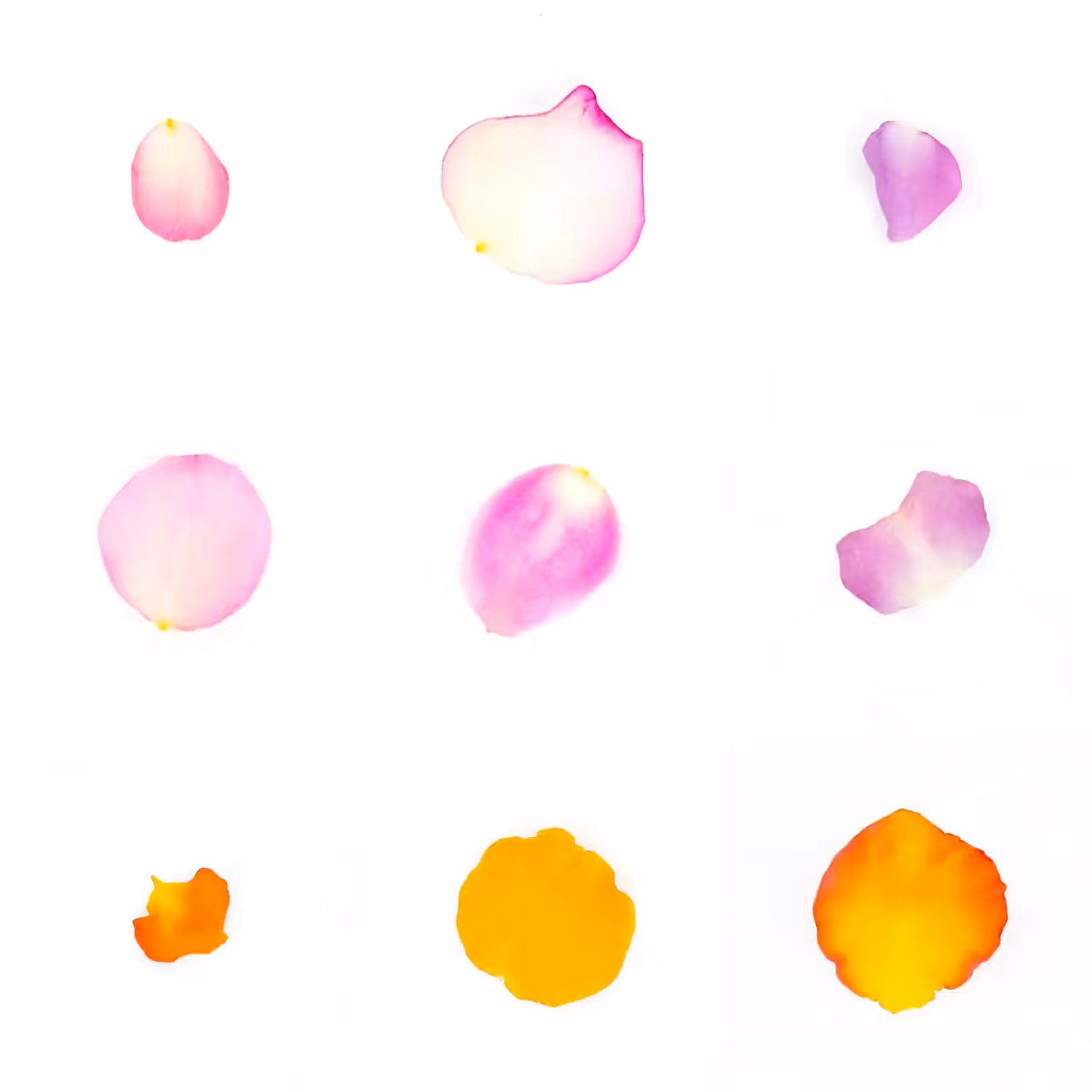 Infinite Petals 3x3#3139
