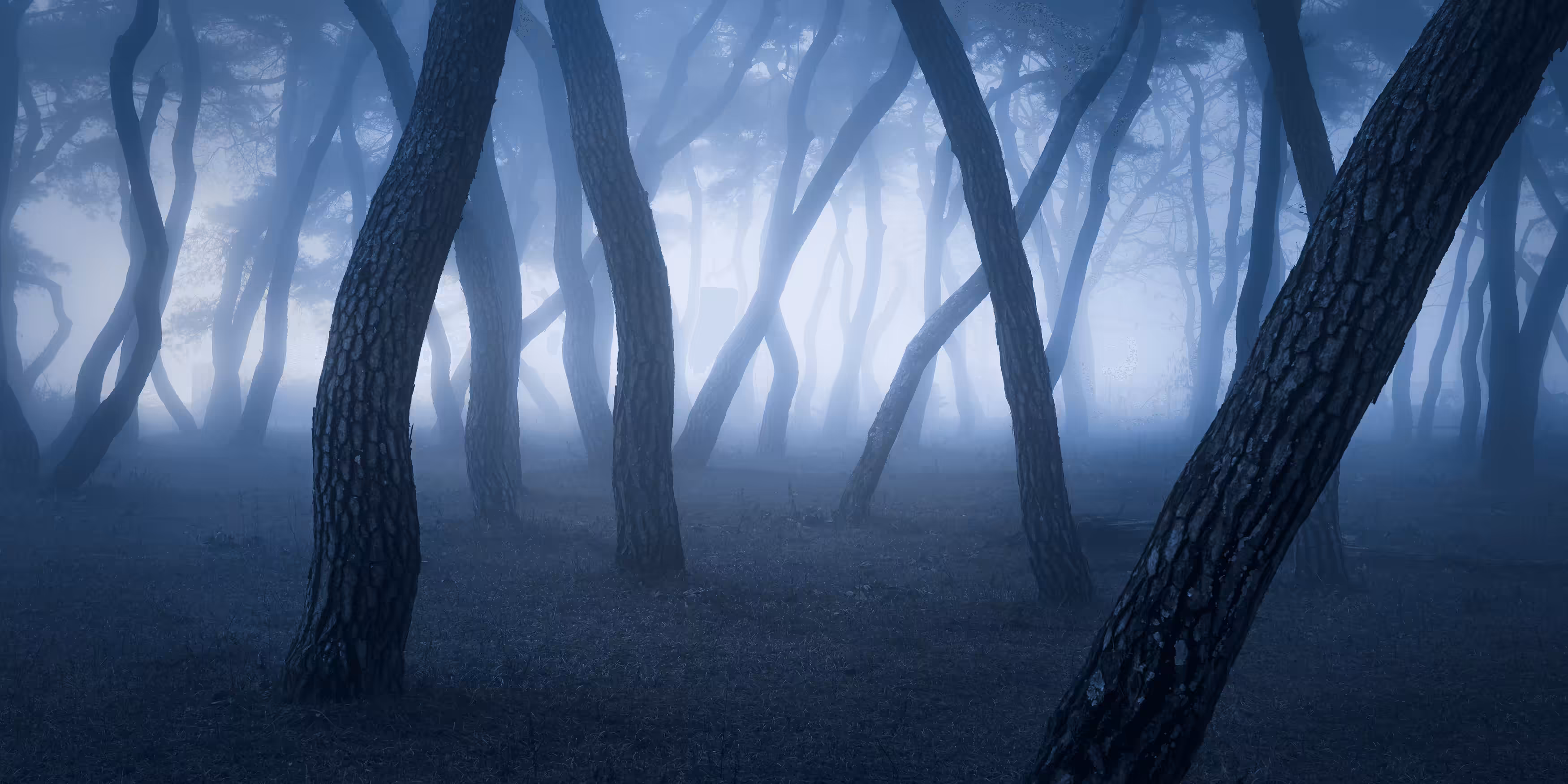Bewitching Hour 