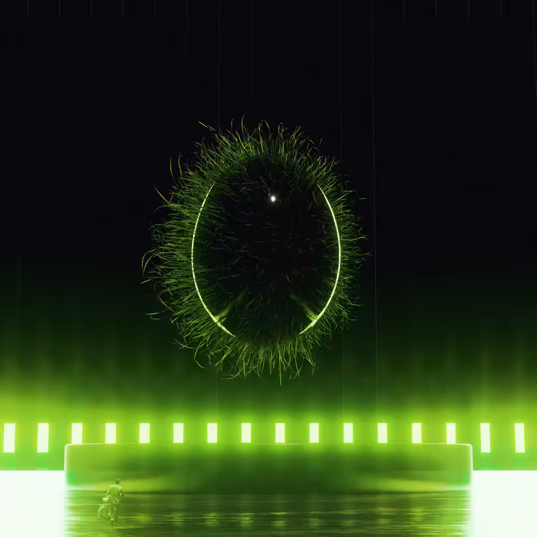  Egg arrival