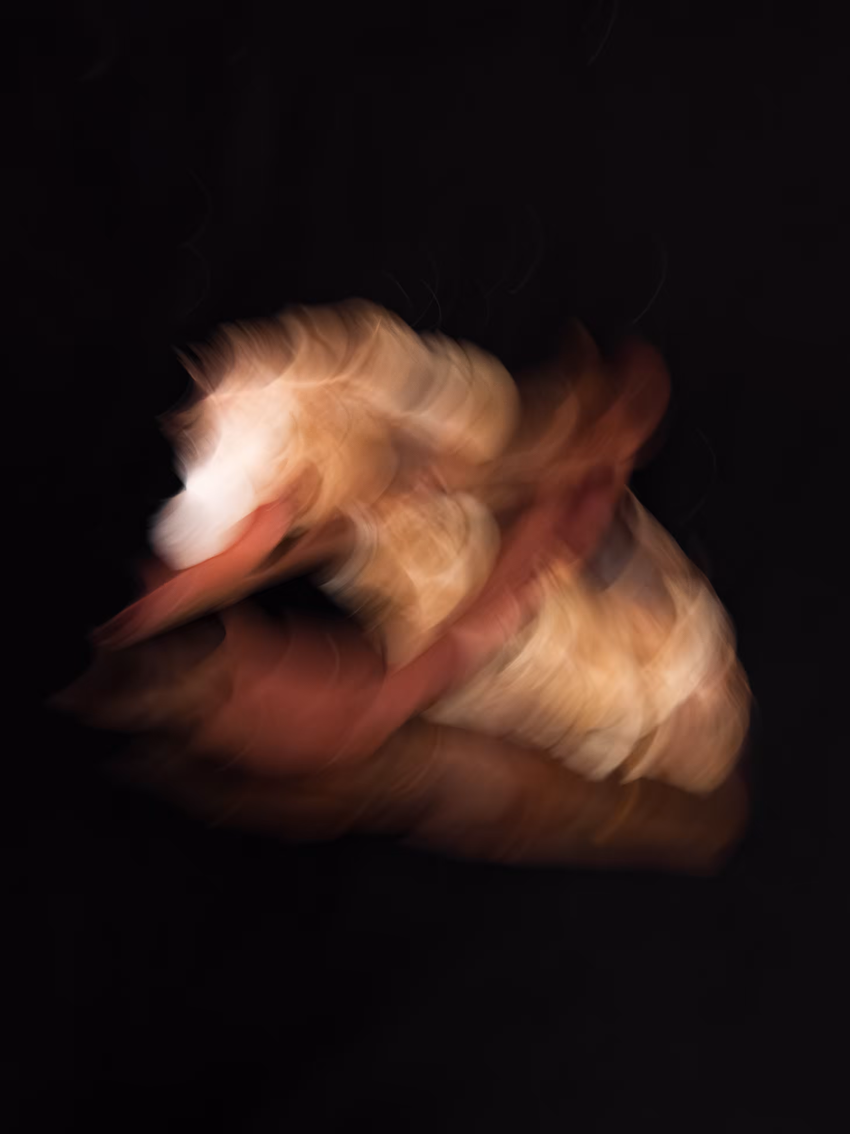 Equine