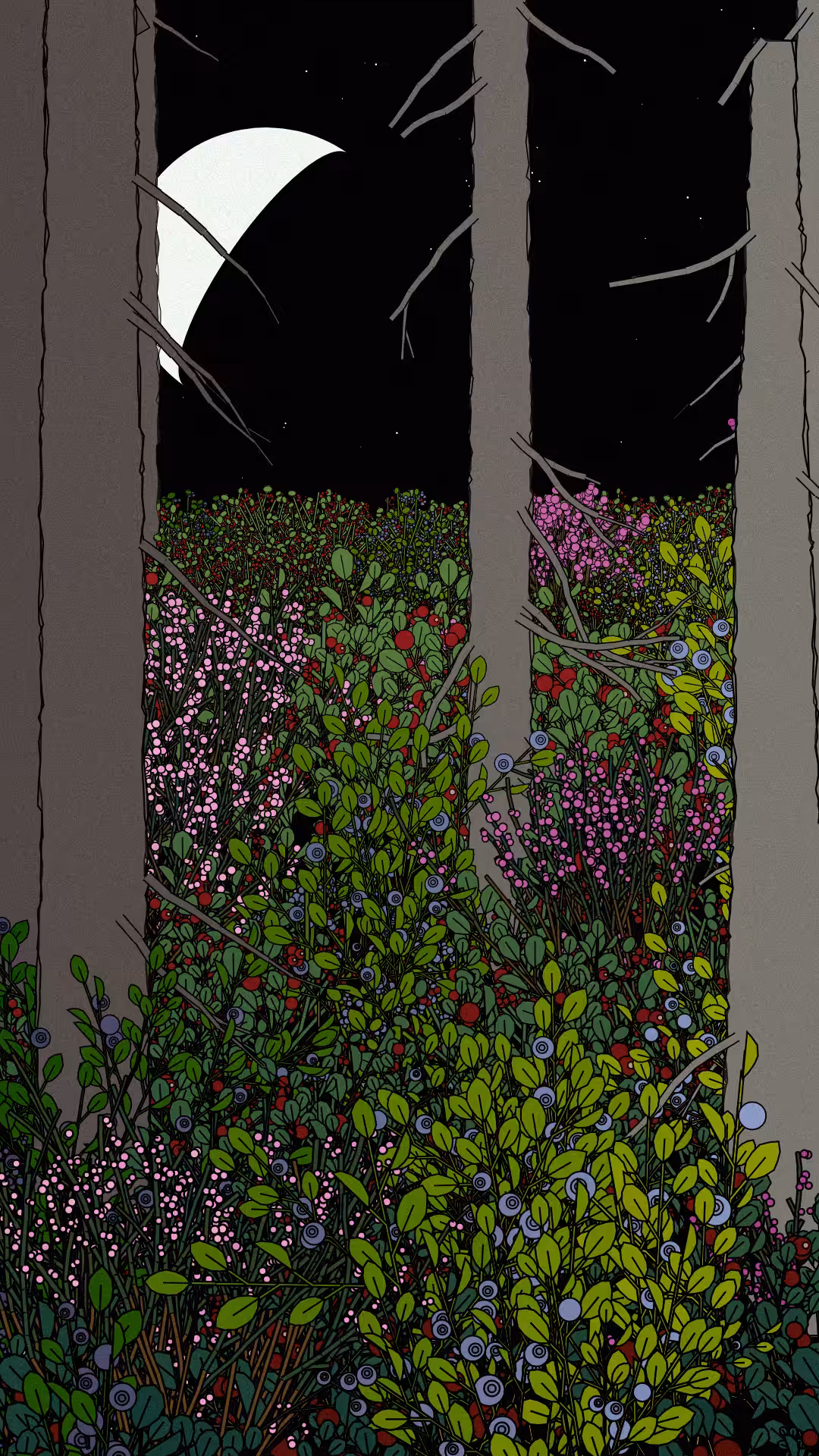 Swedish Forest #15