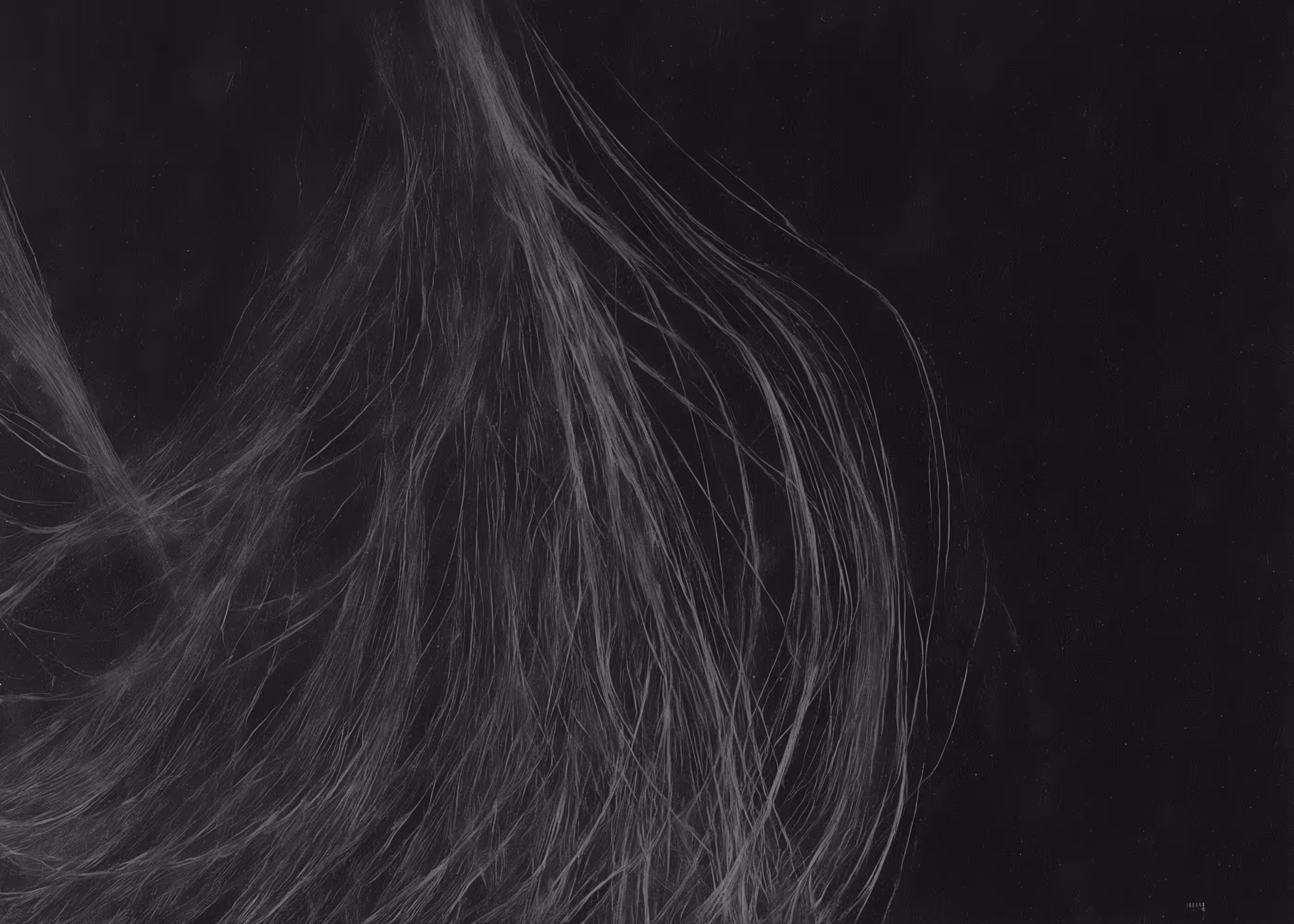 Lumens #417