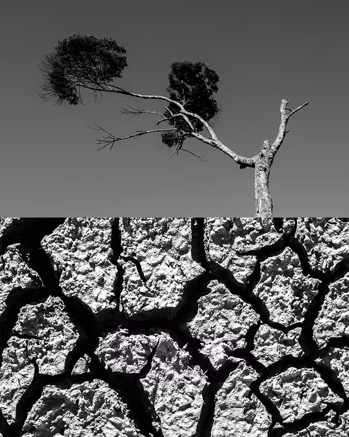 grow