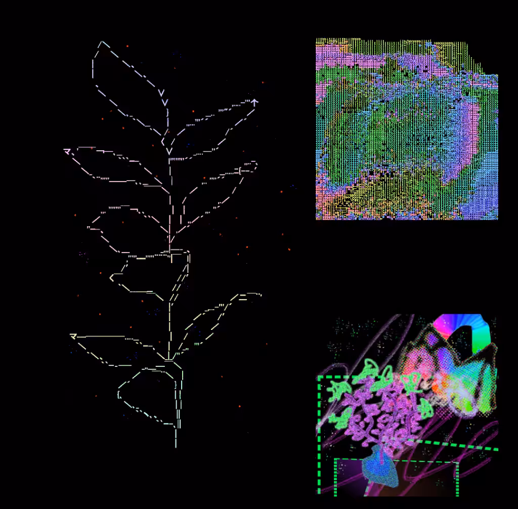 We cannot assume that you can make yourself a concept of the beauty that is analogous – to the next