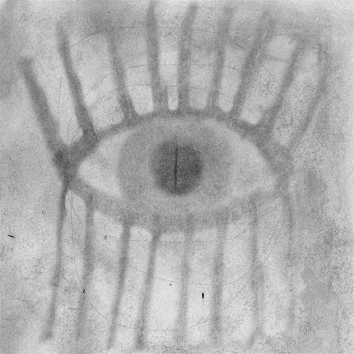 the eye