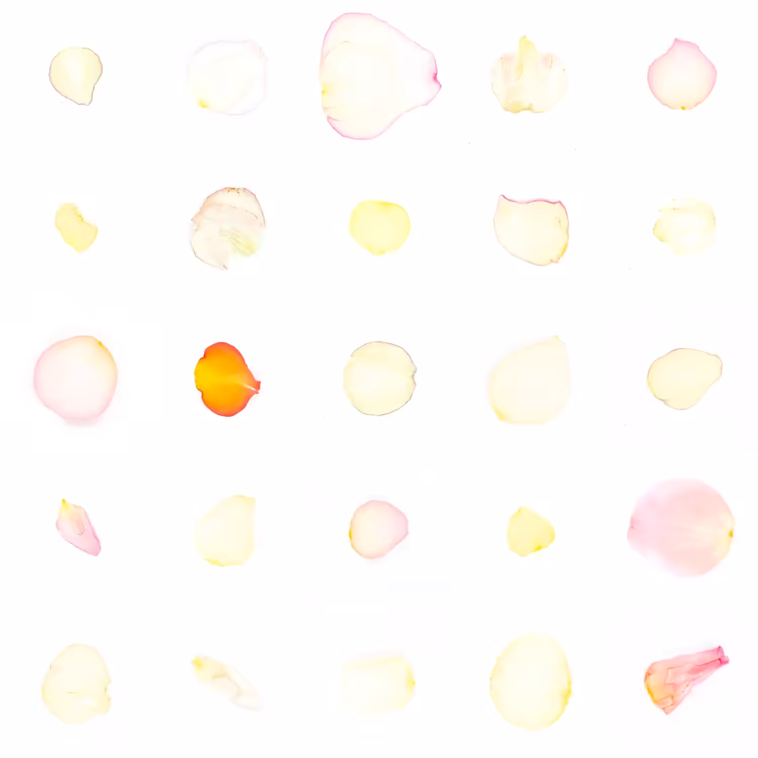 Infinite Petals 5x5#466