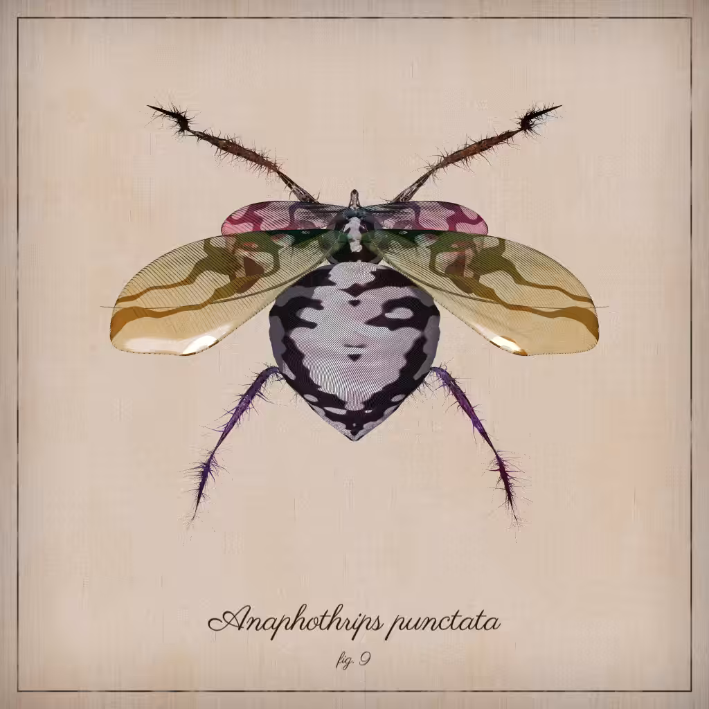 ProcGen Entomology #103